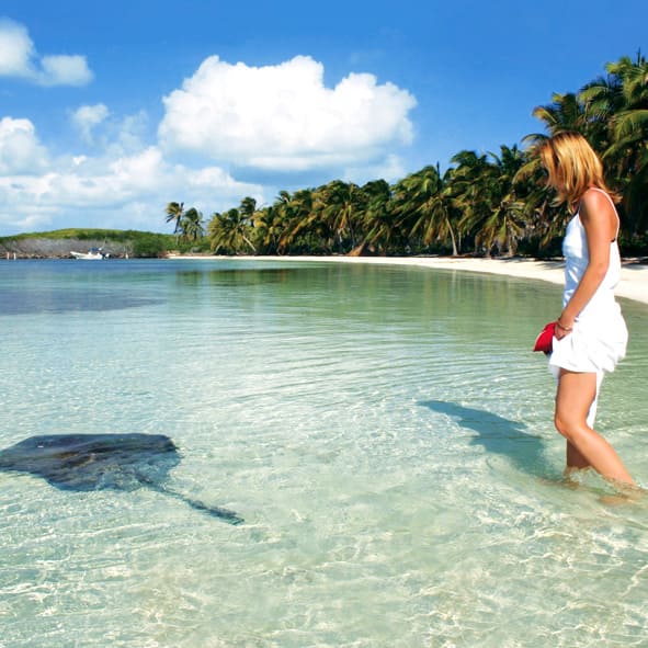Visitar Isla Contoy – QUINTANA ROO, MARAVILLAS NATURALES